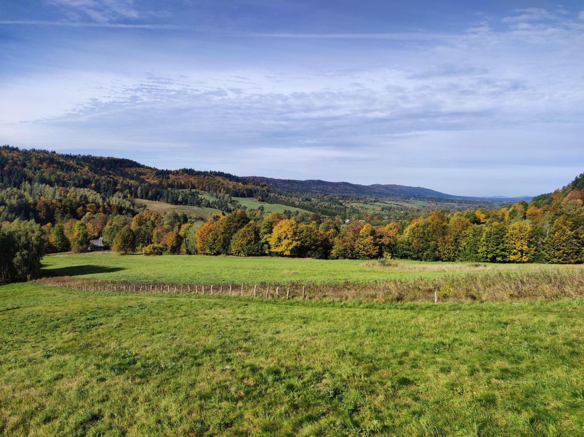 Rezydencja Bukowy Dwor Czarna  Exteriör bild